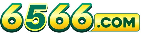 6566